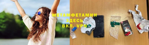 шишки Няндома