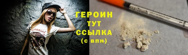 шишки Няндома