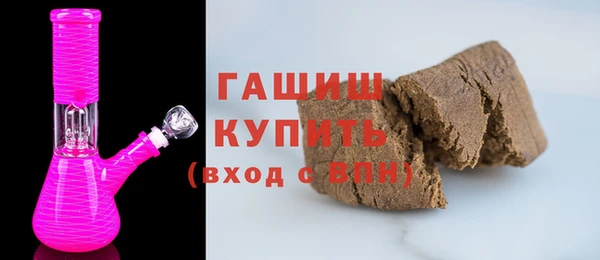 шишки Няндома