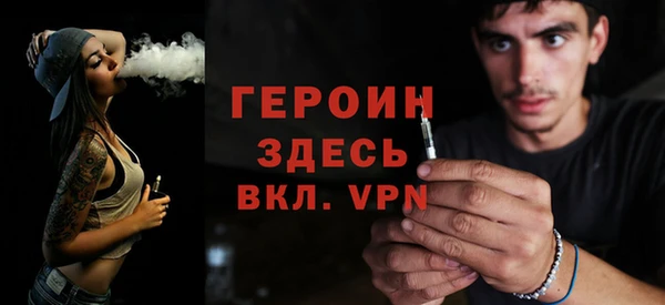 шишки Няндома