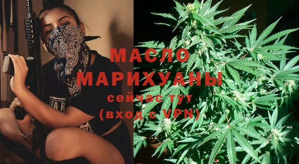 дмт Нягань