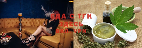 шишки Няндома