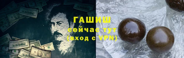 шишки Няндома