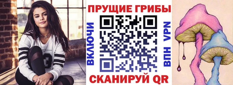 купить наркотики цена мориарти как зайти Псилоцибиновые грибы Psilocybine cubensis Белореченск